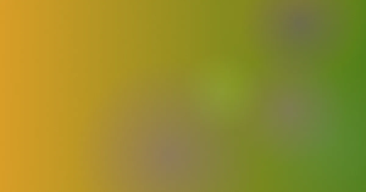 朱门怎么用：影评实测